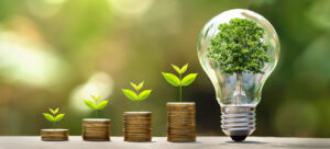 vecteezy_tree-growing-on-coins-and-light-bulb-concept-saving-money_8700977
